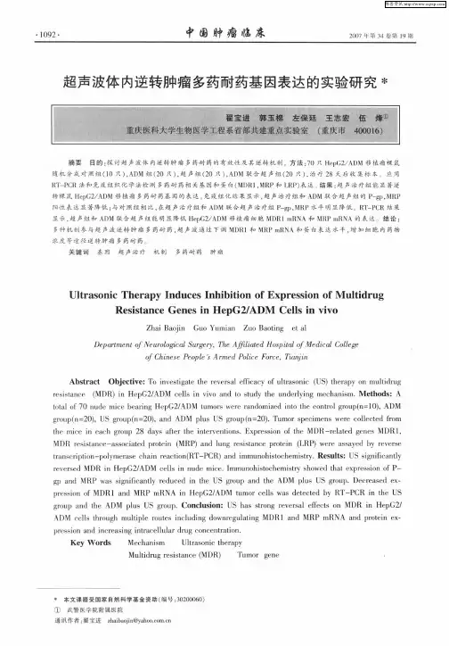 超声波体内逆转肿瘤多药耐药基因表达的实验研究