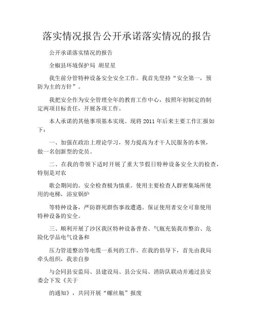 落实情况报告公开承诺落实情况的报告