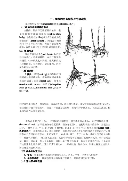 桑树栽培育种学