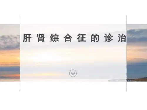 肝肾综合征