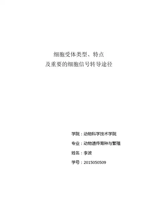 细胞受体及重要的细胞信号转导途径