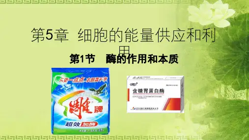 人教版必修1 生物：5.1.1 酶的作用和本质 课件(共35张PPT)