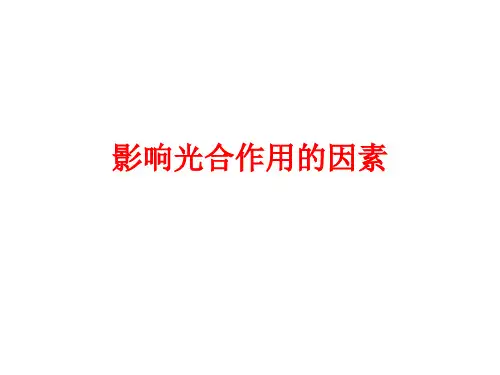 影响光合作用的因素