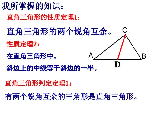 直角三角形的性质和判定主要内容