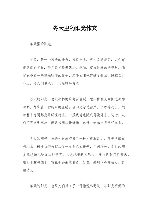 冬天里的阳光作文