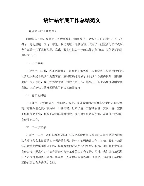 统计站年底工作总结范文