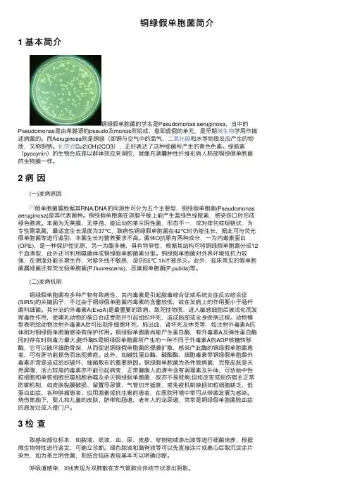 铜绿假单胞菌简介