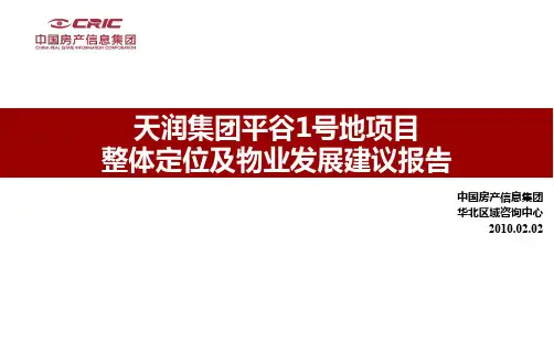北京天润平谷1号地项目整体定位及物业发展1239361314