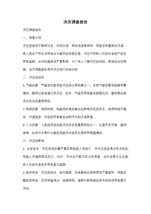 洪灾调查报告