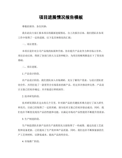 项目进展情况报告模板