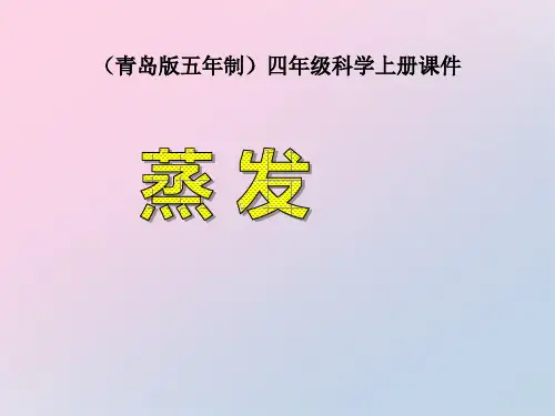 2021年《蒸发》PPT文档