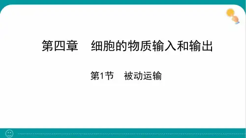 4-1 被动运输 课件-高一上学期生物人教版(2019)必修1