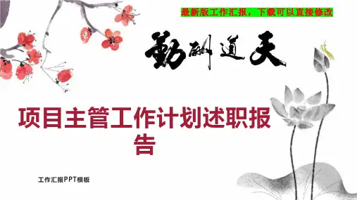 项目主管工作计划述职报告PPT模板下载工作总结