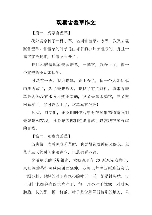 观察含羞草作文