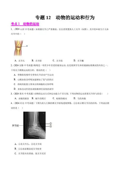 专题12  动物的运动和行为(原卷版+答案解析版)