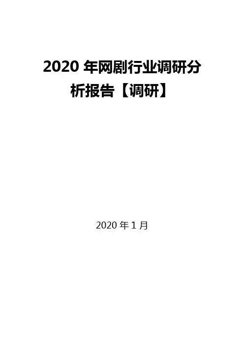 2020年网剧行业调研分析报告【调研】