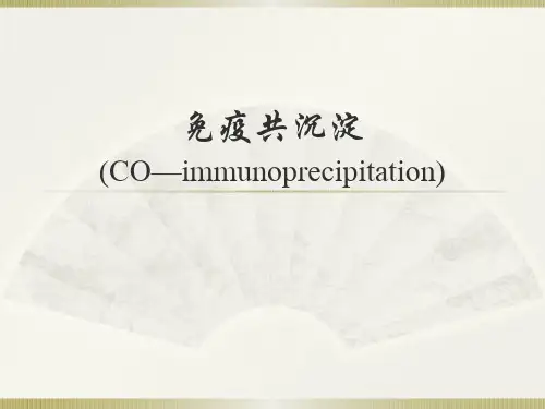 免疫共沉淀(Immunoprecipitation, IP)解析