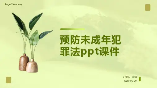 预防未成年犯罪法ppt课件
