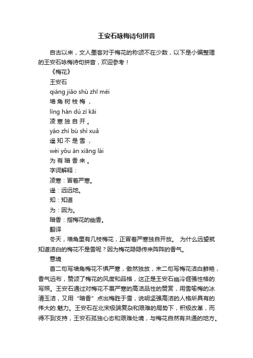 王安石咏梅诗句拼音