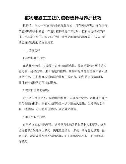 植物墙施工工法的植物选择与养护技巧