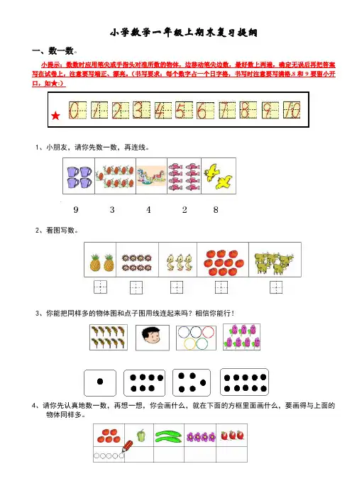 【深圳市】一年级上册易错题复习