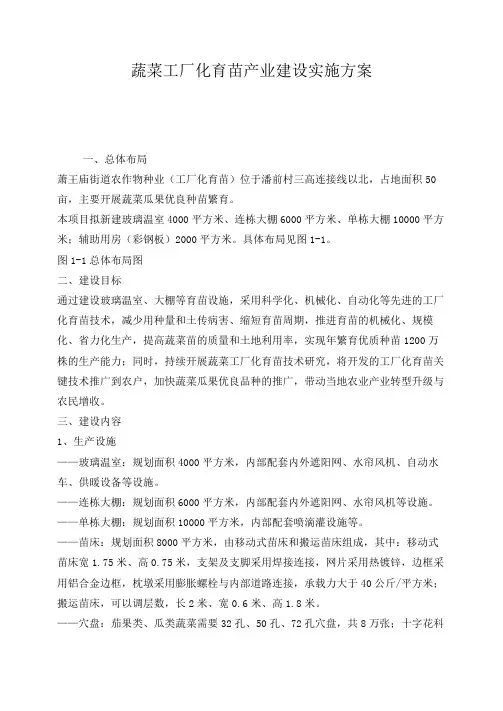 蔬菜工厂化育苗产业建设实施方案