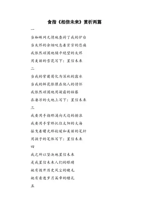 食指《相信未来》赏析两篇