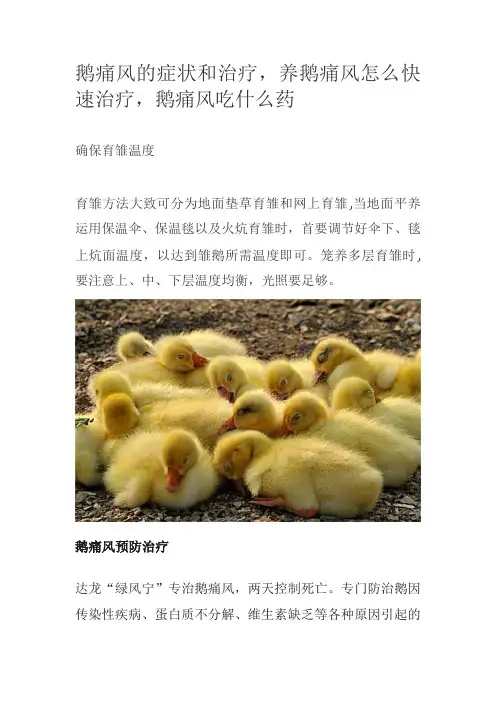 鹅痛风的症状和治疗,养鹅痛风怎么快速治疗,鹅痛风吃什么药
