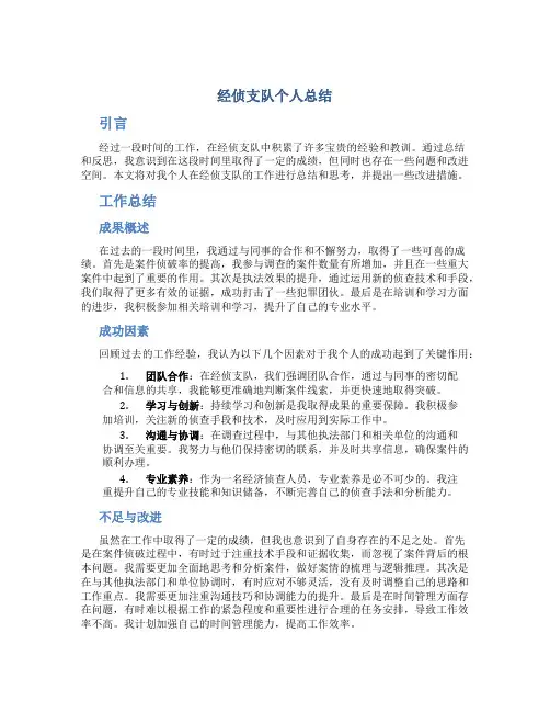 经侦支队个人总结
