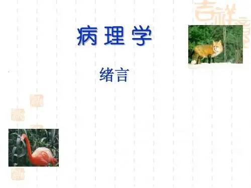 第1章 疾病概论