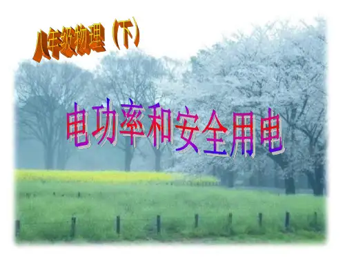 八年级物理电功率和安全用电2