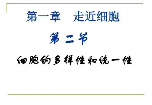 生物：1.2《细胞的的多样性和统一性》课件(新人教版必修1)
