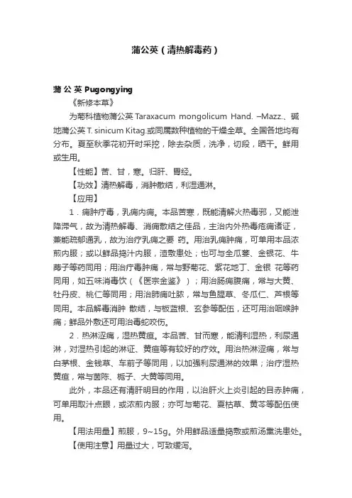 蒲公英（清热解毒药）