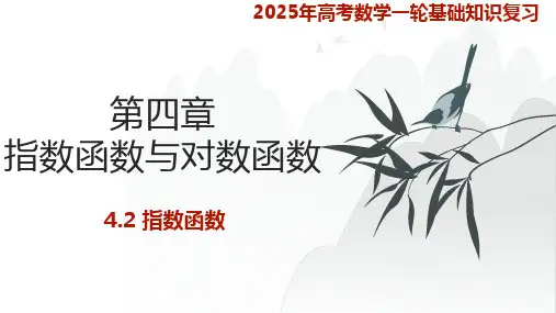 4.2-指数函数 2025年高考数学知识点题型及考项复习