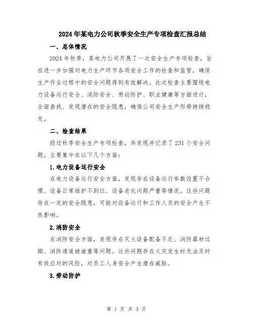 2024年某电力公司秋季安全生产专项检查汇报总结