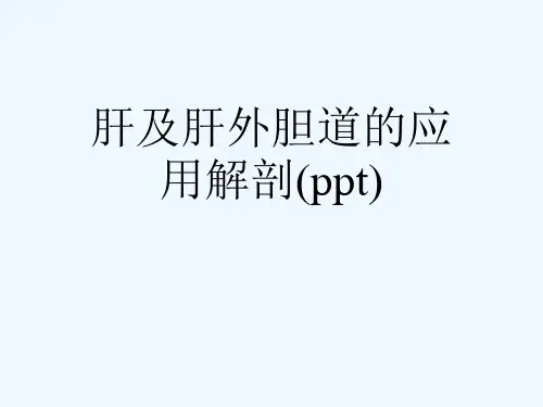 肝及肝外胆道的应用解剖(ppt)