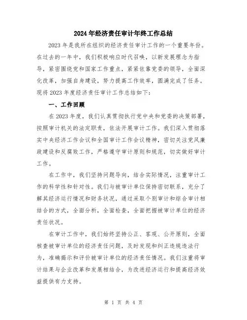 2024年经济责任审计年终工作总结