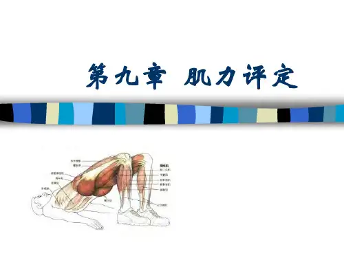 第9章-肌力评定