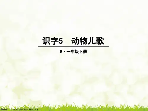 识字5《5、动物儿歌》_