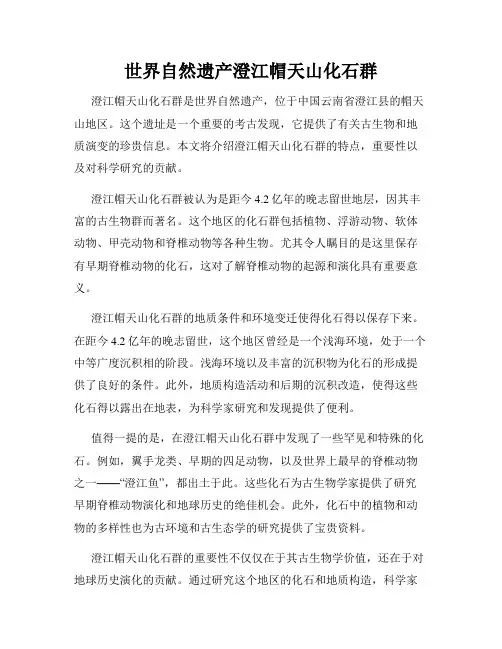 世界自然遗产澄江帽天山化石群