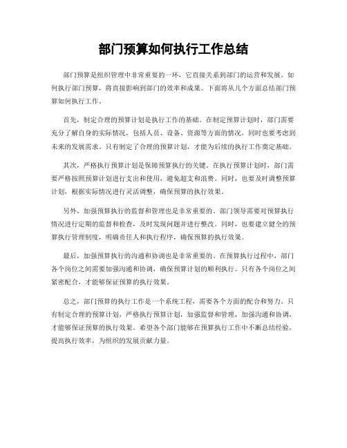 部门预算如何执行工作总结