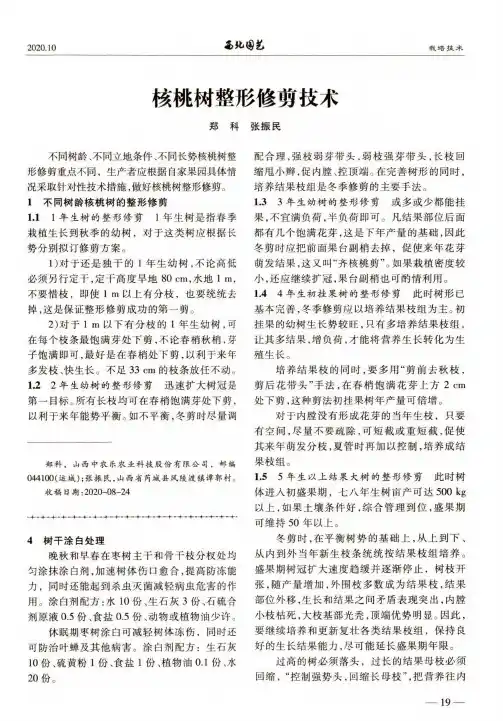 核桃树整形修剪技术