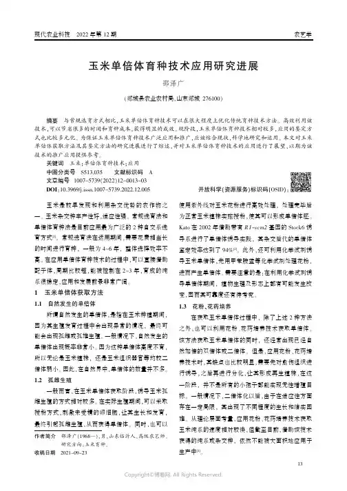 玉米单倍体育种技术应用研究进展