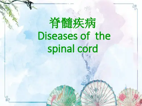 【神经病学】4.10 脊髓病变