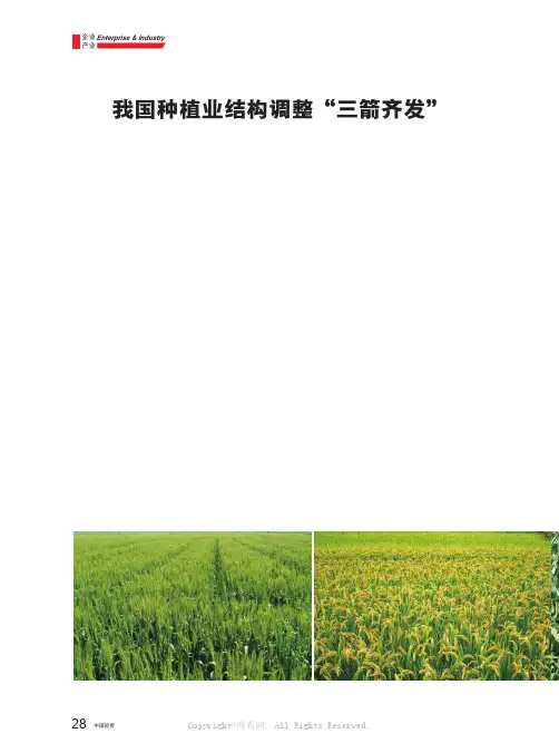 我国种植业结构调整“三箭齐发”