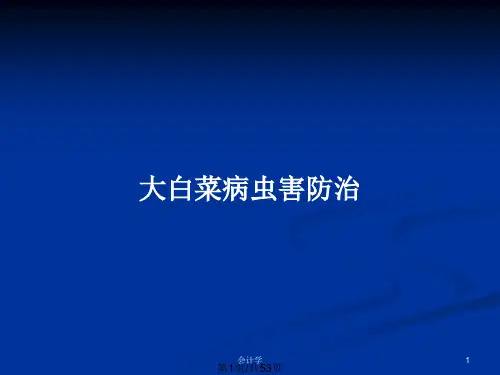 大白菜病虫害防治PPT教案