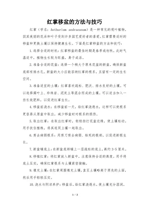 红掌移盆的方法与技巧
