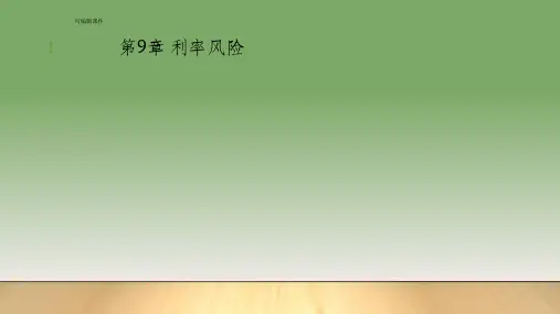 风险管理与金融机构第9章 利率风险PPT课件