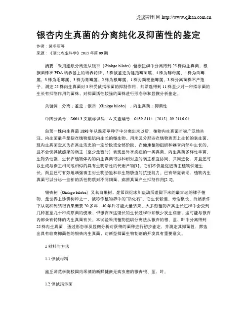 银杏内生真菌的分离纯化及抑菌性的鉴定