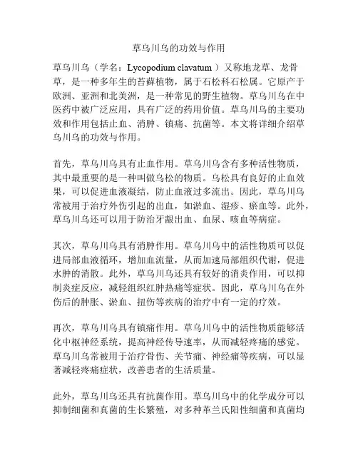 草乌川乌的功效与作用